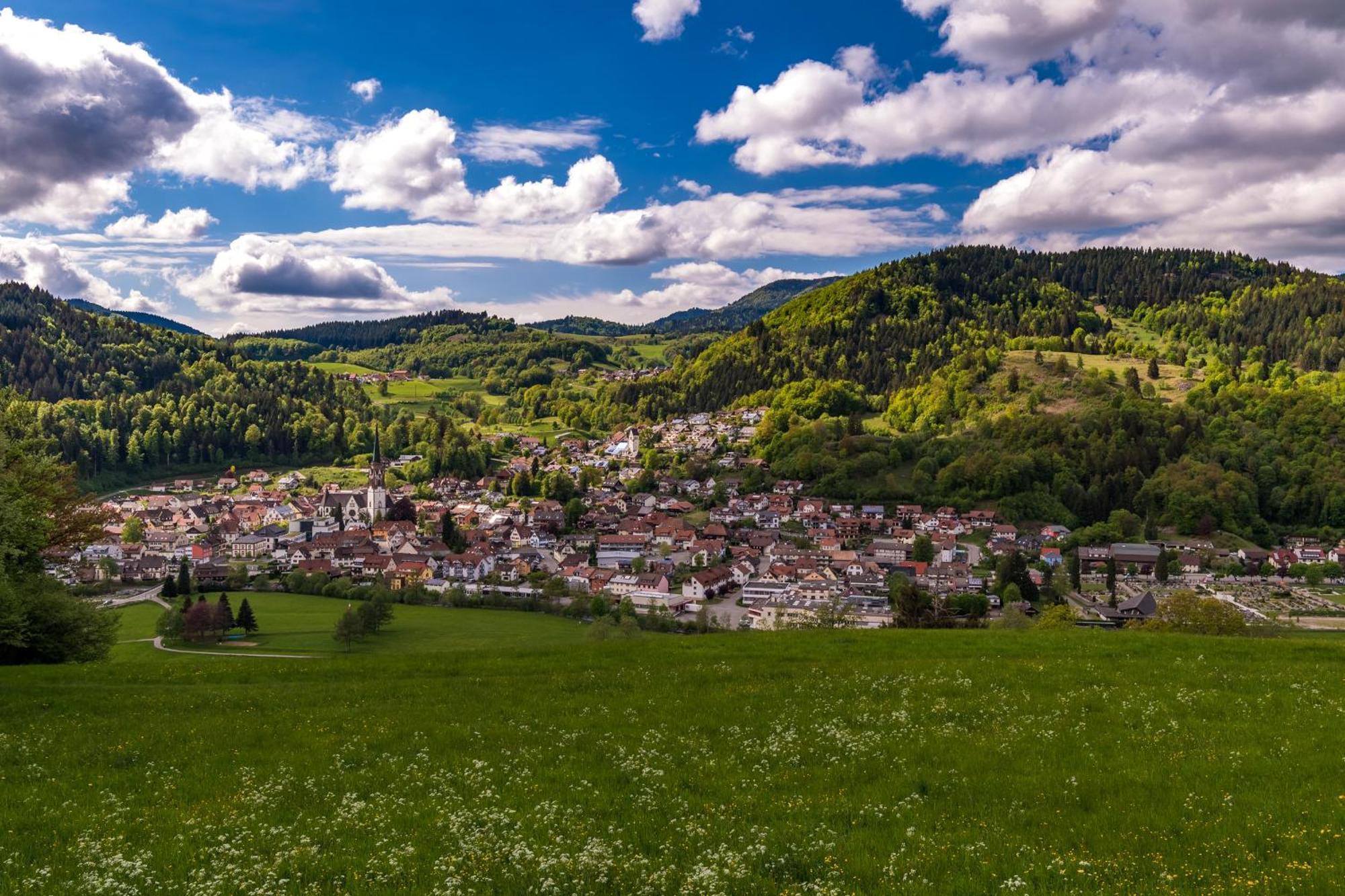 Ferienwohnung Traumblick Schönau im Schwarzwald Exterior foto